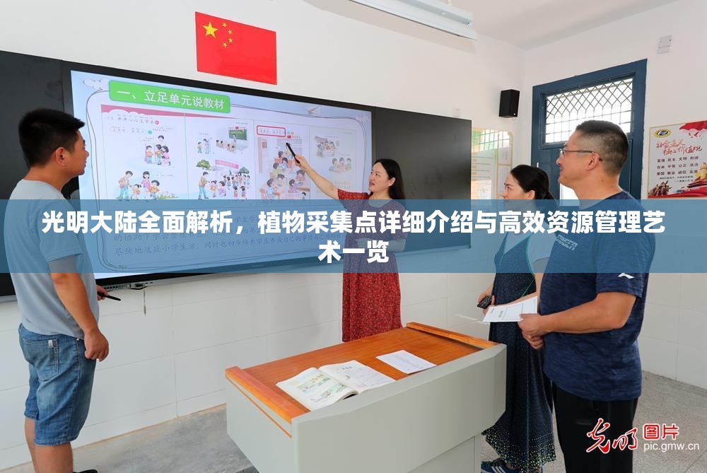 光明大陆全面解析，植物采集点详细介绍与高效资源管理艺术一览
