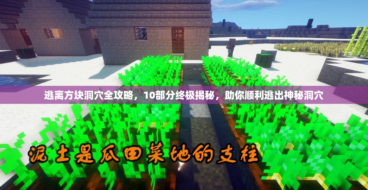逃离方块洞穴全攻略，10部分终极揭秘，助你顺利逃出神秘洞穴