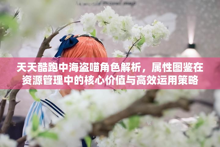 天天酷跑中海盗喵角色解析，属性图鉴在资源管理中的核心价值与高效运用策略