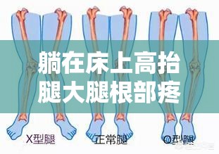躺在床上高抬腿大腿根部疼：原因分析与缓解方法探讨