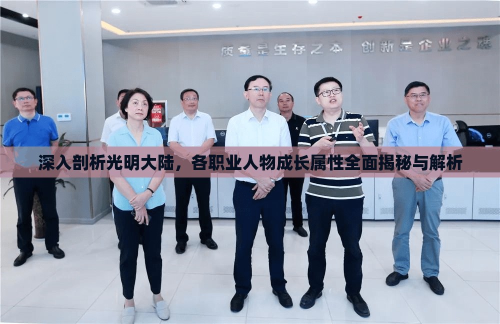 深入剖析光明大陆，各职业人物成长属性全面揭秘与解析