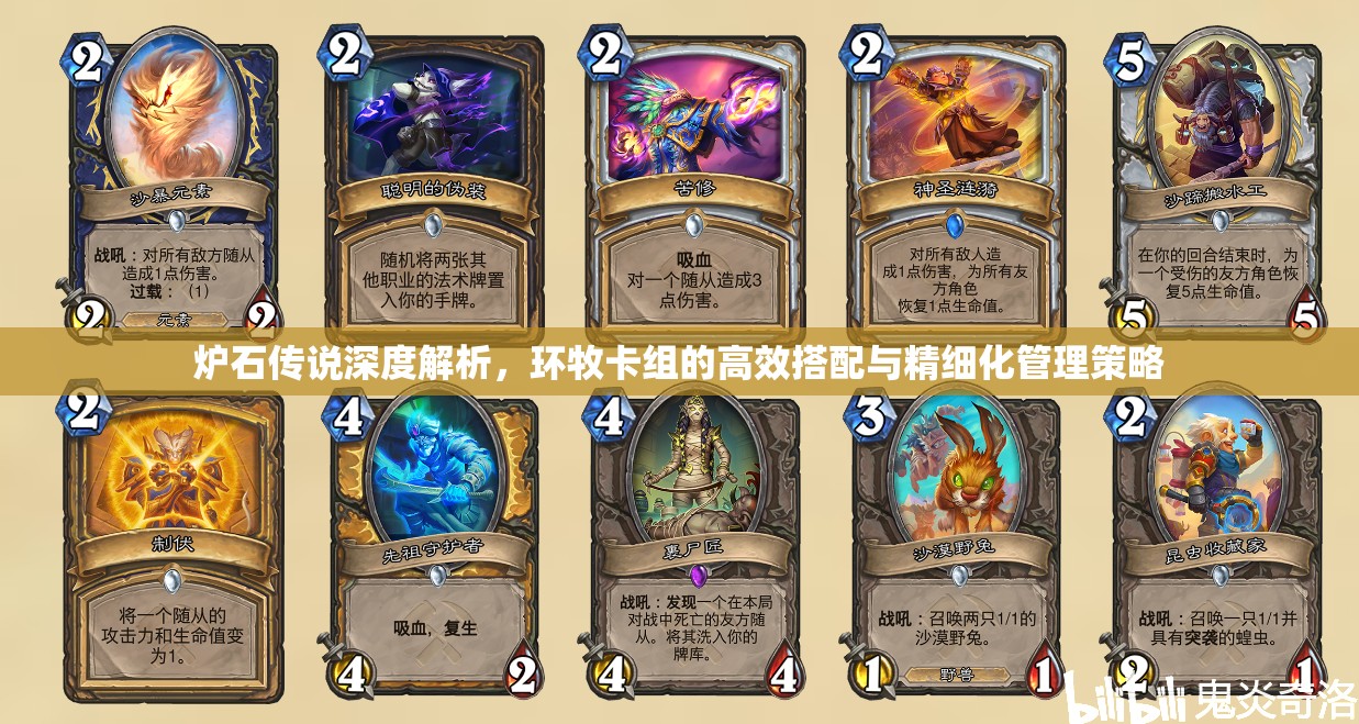 炉石传说深度解析，环牧卡组的高效搭配与精细化管理策略