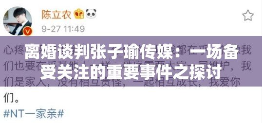 离婚谈判张子瑜传媒：一场备受关注的重要事件之探讨