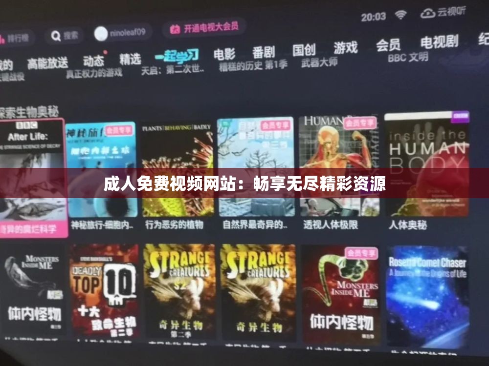 成人免费视频网站：畅享无尽精彩资源
