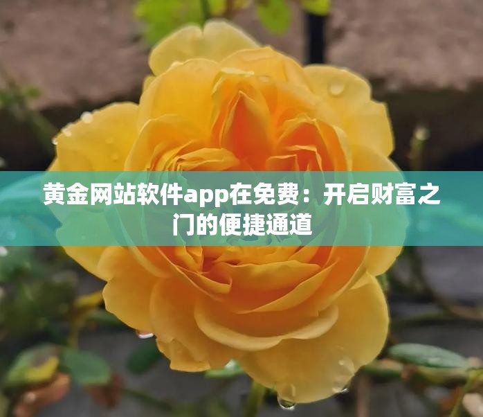 黄金网站软件app在免费：开启财富之门的便捷通道