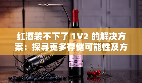 红酒装不下了 1V2 的解决方案：探寻更多存储可能性及方法
