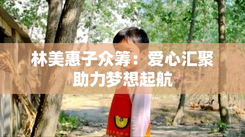 林美惠子众筹：爱心汇聚助力梦想起航