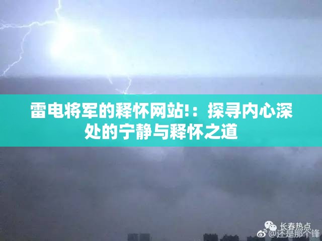雷电将军的释怀网站!：探寻内心深处的宁静与释怀之道