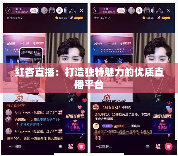 红杏直播：打造独特魅力的优质直播平台