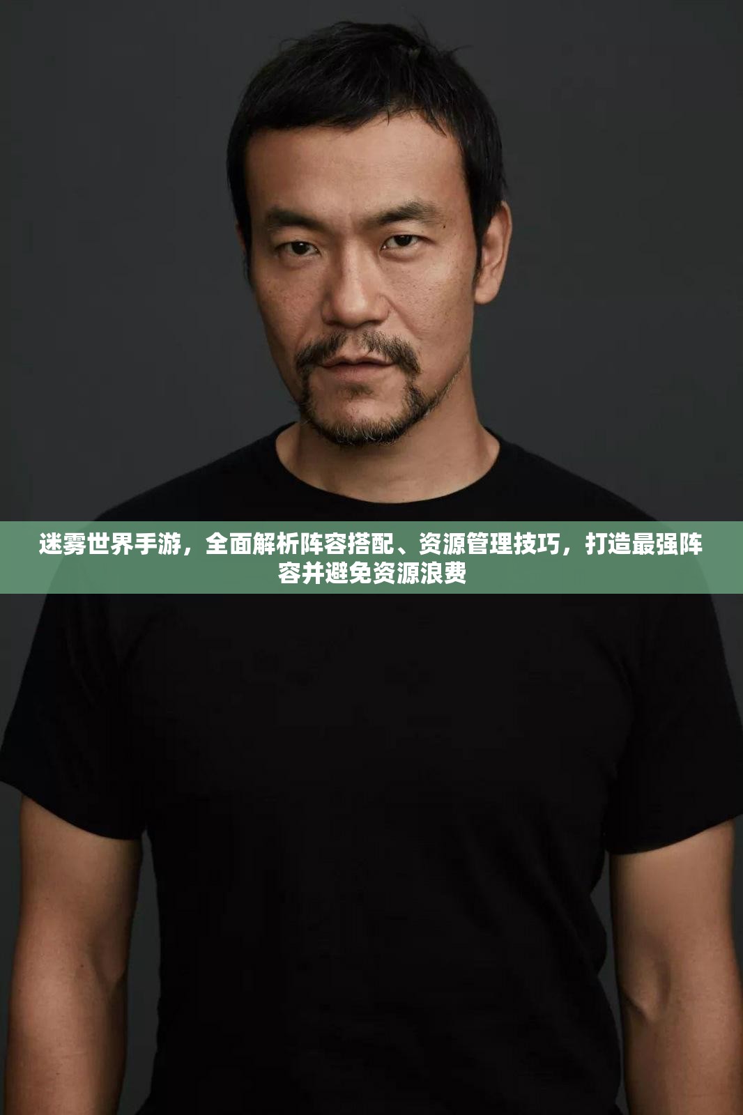 迷雾世界手游，全面解析阵容搭配、资源管理技巧，打造最强阵容并避免资源浪费
