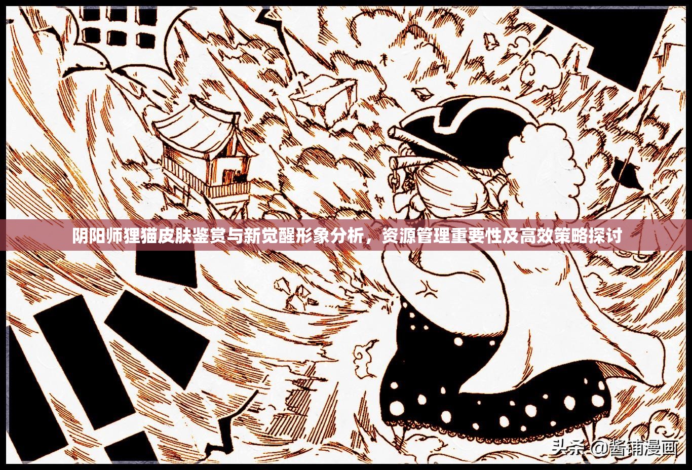 阴阳师狸猫皮肤鉴赏与新觉醒形象分析，资源管理重要性及高效策略探讨