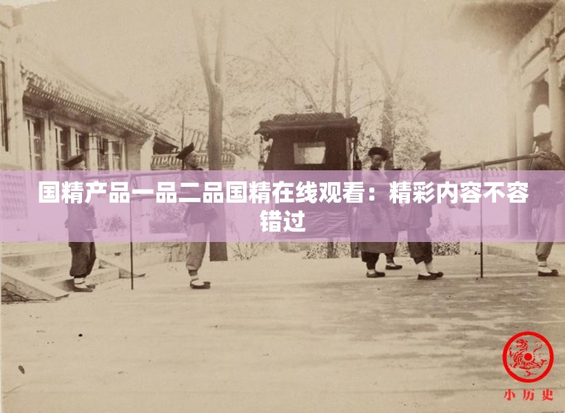 国精产品一品二品国精在线观看：精彩内容不容错过