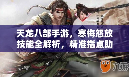 天龙八部手游，寒梅怒放技能全解析，精准指点助你成就英雄之路