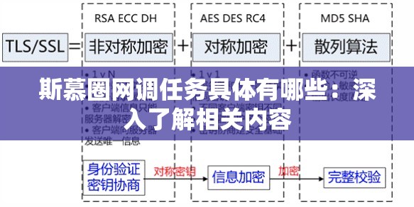 斯慕圈网调任务具体有哪些：深入了解相关内容