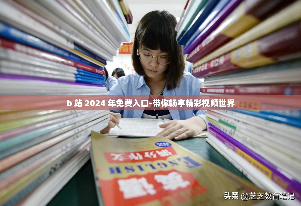 b 站 2024 年免费入口-带你畅享精彩视频世界