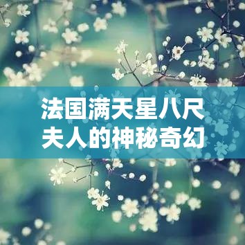 法国满天星八尺夫人的神秘奇幻之旅