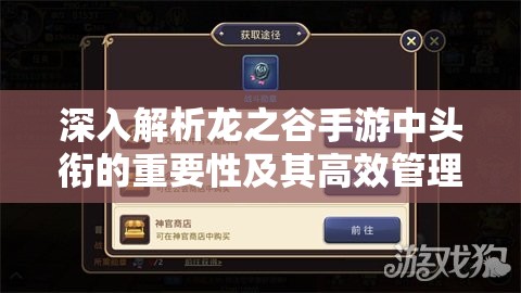 深入解析龙之谷手游中头衔的重要性及其高效管理技巧