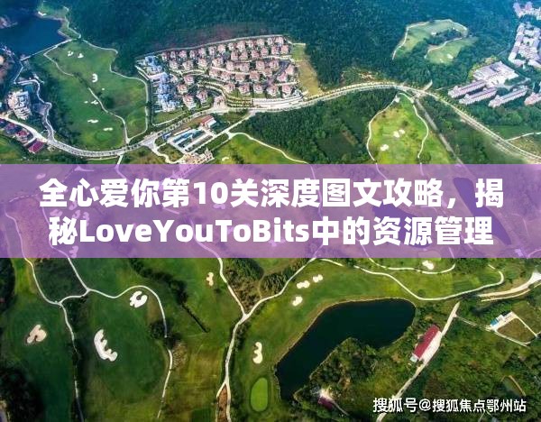 全心爱你第10关深度图文攻略，揭秘LoveYouToBits中的资源管理技巧与艺术