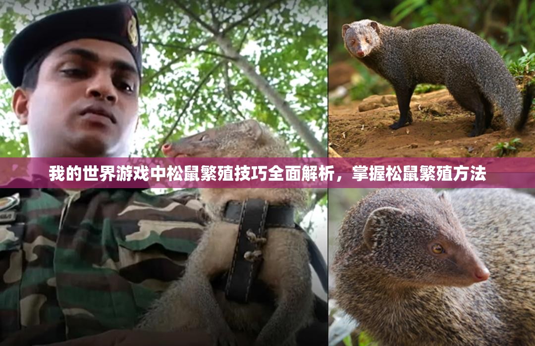 我的世界游戏中松鼠繁殖技巧全面解析，掌握松鼠繁殖方法