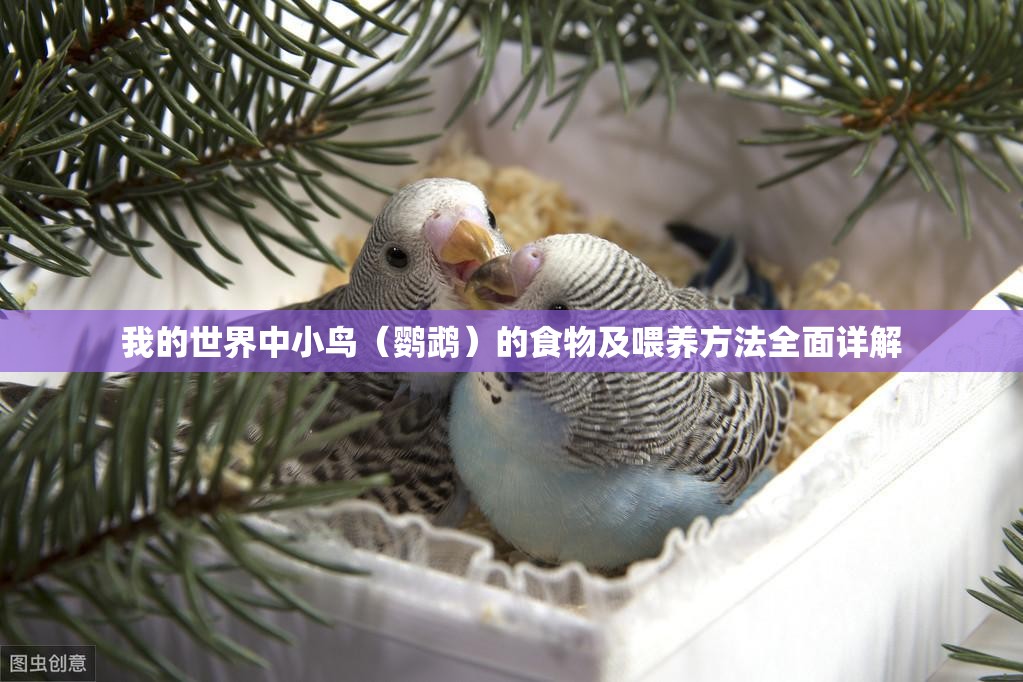 我的世界中小鸟（鹦鹉）的食物及喂养方法全面详解