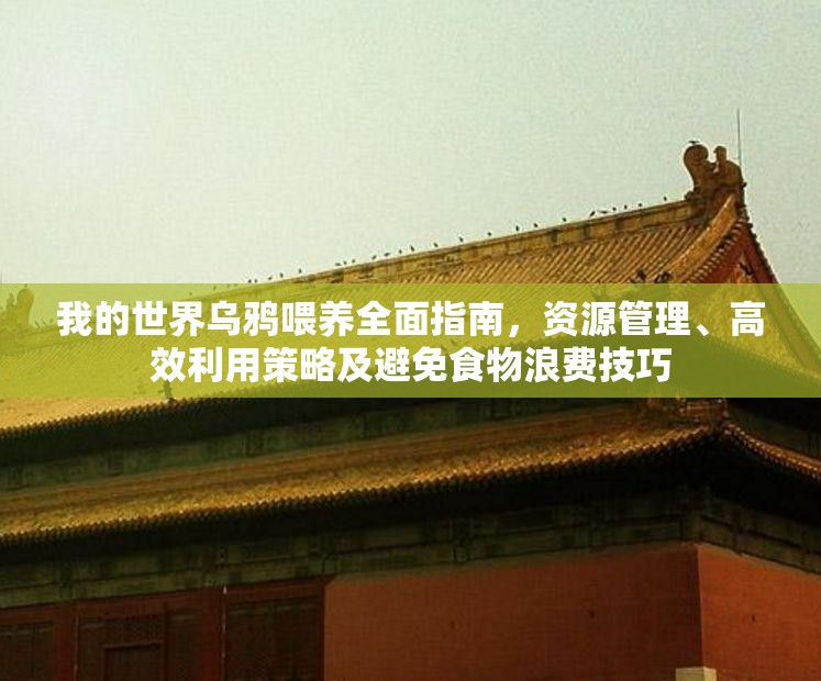 我的世界乌鸦喂养全面指南，资源管理、高效利用策略及避免食物浪费技巧