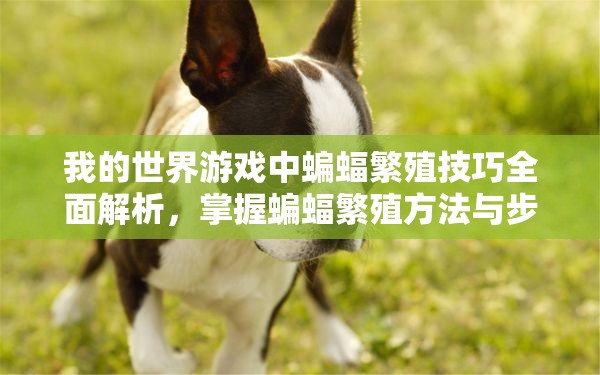 我的世界游戏中蝙蝠繁殖技巧全面解析，掌握蝙蝠繁殖方法与步骤