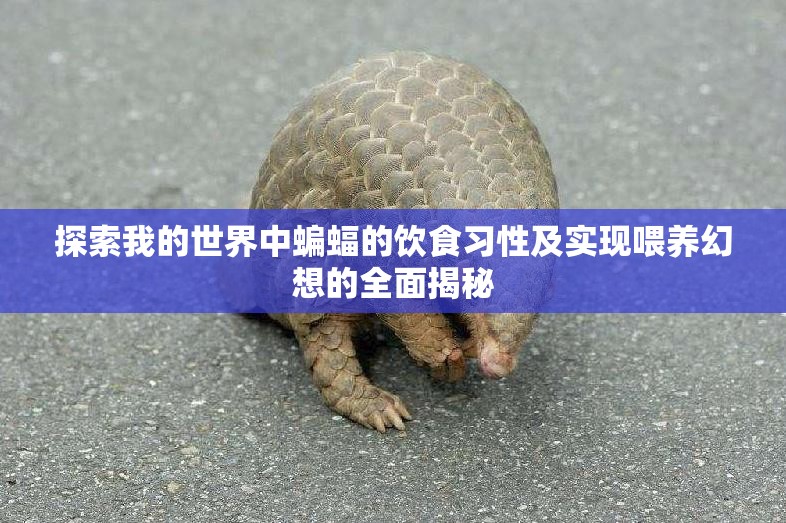 探索我的世界中蝙蝠的饮食习性及实现喂养幻想的全面揭秘
