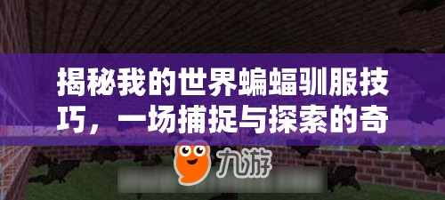 揭秘我的世界蝙蝠驯服技巧，一场捕捉与探索的奇妙冒险之旅