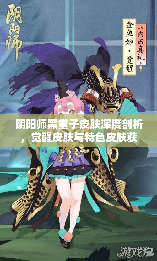 阴阳师黑童子皮肤深度剖析，觉醒皮肤与特色皮肤获取攻略详解