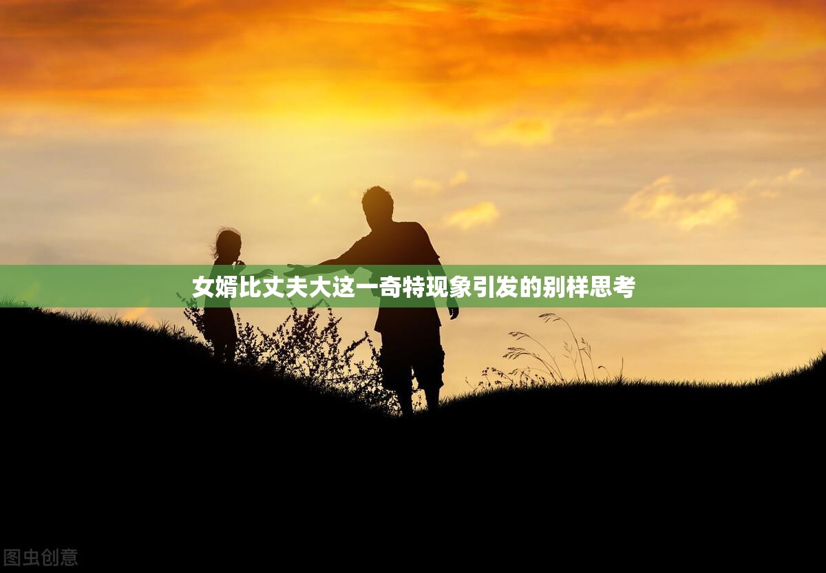 女婿比丈夫大这一奇特现象引发的别样思考
