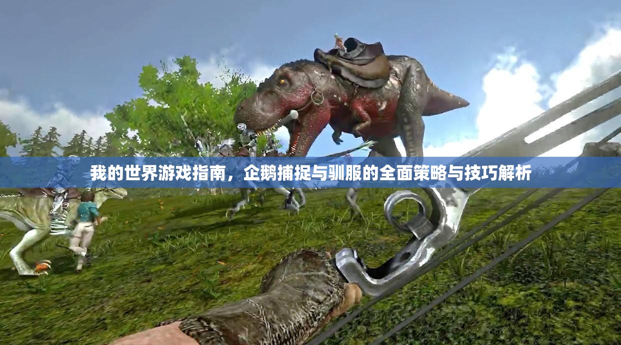 我的世界游戏指南，企鹅捕捉与驯服的全面策略与技巧解析