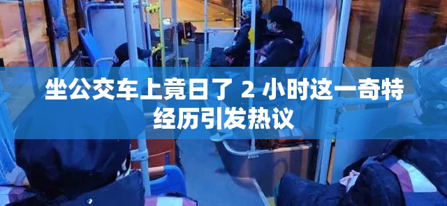 坐公交车上竟日了 2 小时这一奇特经历引发热议
