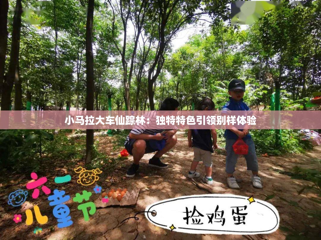 小马拉大车仙踪林：独特特色引领别样体验