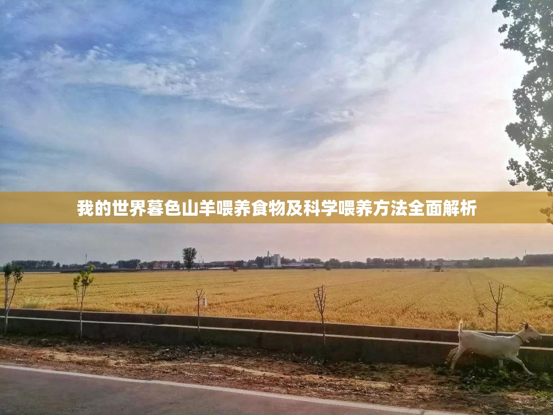 我的世界暮色山羊喂养食物及科学喂养方法全面解析