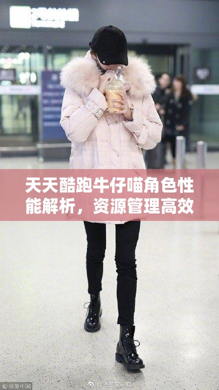 天天酷跑牛仔喵角色性能解析，资源管理高效利用策略与深度分析