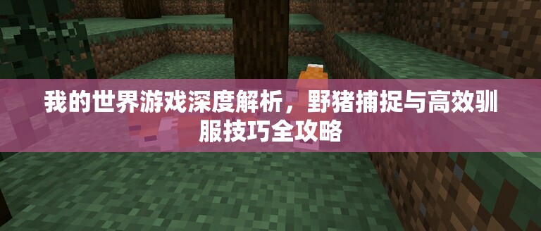 我的世界游戏深度解析，野猪捕捉与高效驯服技巧全攻略