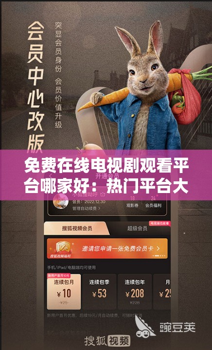 免费在线电视剧观看平台哪家好：热门平台大比拼