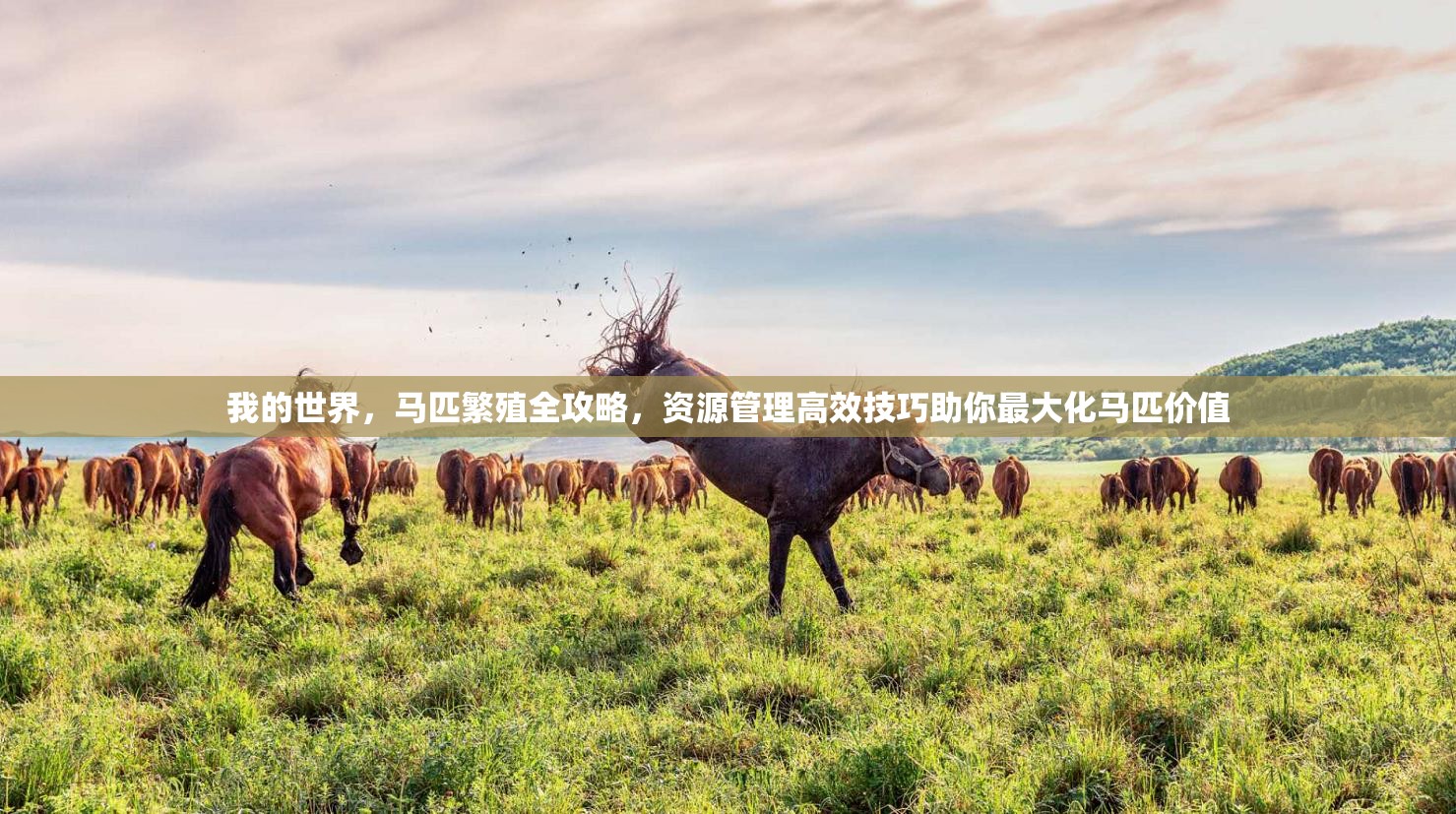 我的世界，马匹繁殖全攻略，资源管理高效技巧助你最大化马匹价值