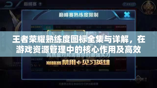 王者荣耀熟练度图标全集与详解，在游戏资源管理中的核心作用及高效运用策略