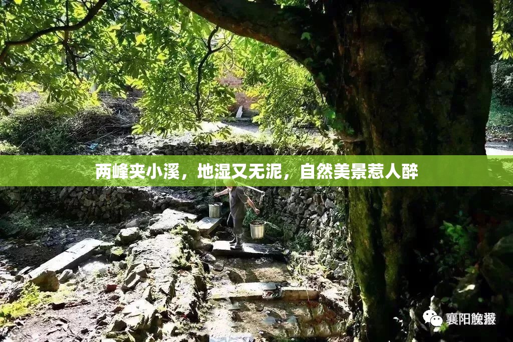 两峰夹小溪，地湿又无泥，自然美景惹人醉