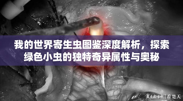我的世界寄生虫图鉴深度解析，探索绿色小虫的独特奇异属性与奥秘