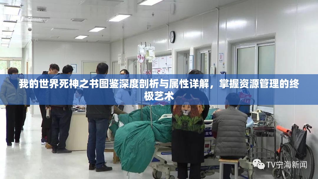 我的世界死神之书图鉴深度剖析与属性详解，掌握资源管理的终极艺术