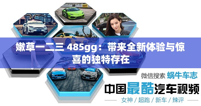 嫩草一二三 485gg：带来全新体验与惊喜的独特存在