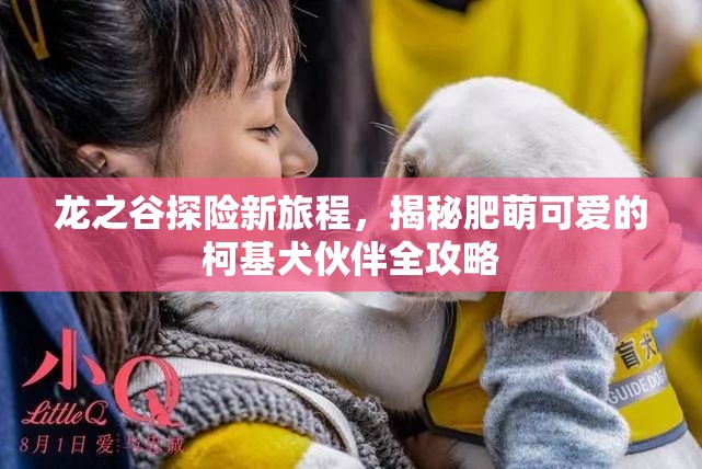 龙之谷探险新旅程，揭秘肥萌可爱的柯基犬伙伴全攻略