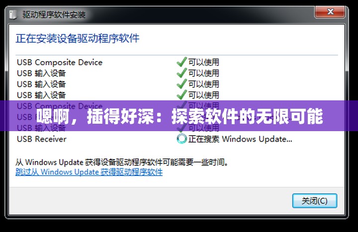 嗯啊，插得好深：探索软件的无限可能