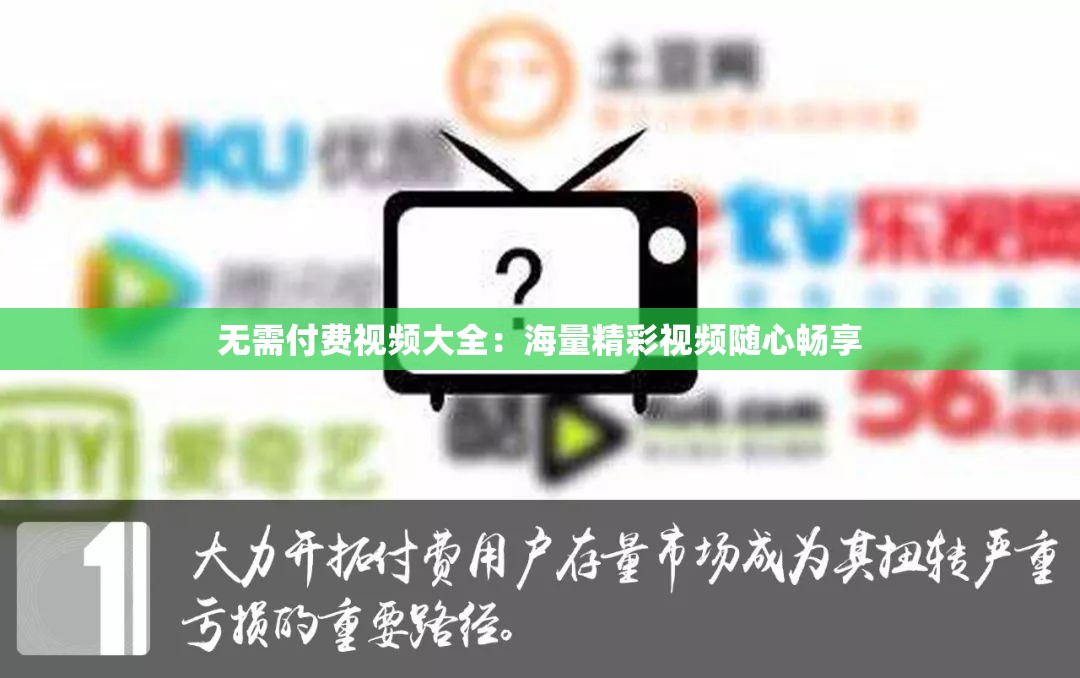 无需付费视频大全：海量精彩视频随心畅享