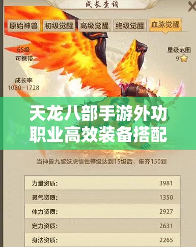 天龙八部手游外功职业高效装备搭配与属性选择全攻略