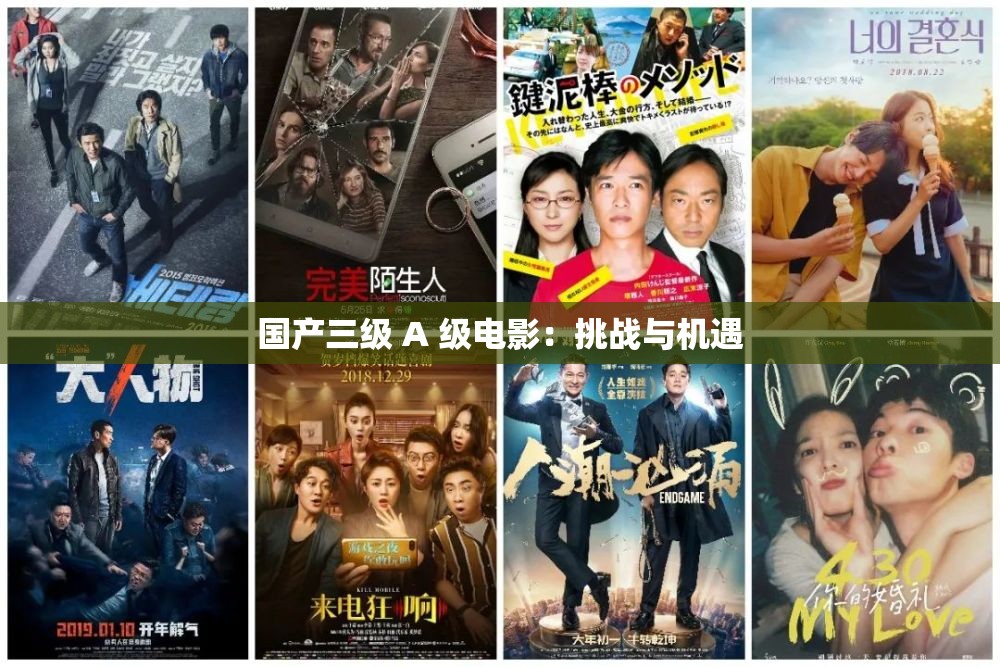 国产三级 A 级电影：挑战与机遇