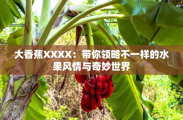 大香蕉XXXX：带你领略不一样的水果风情与奇妙世界