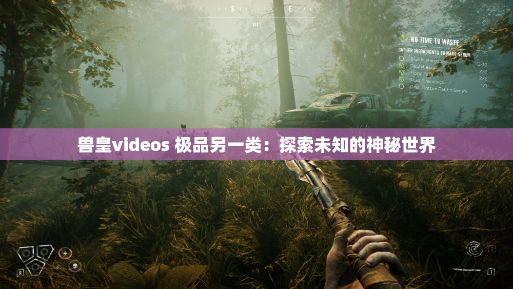 兽皇videos 极品另一类：探索未知的神秘世界